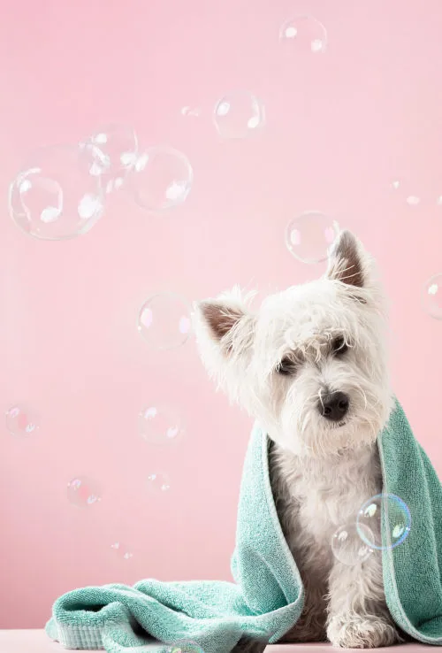 Willkommen im Salon Marie